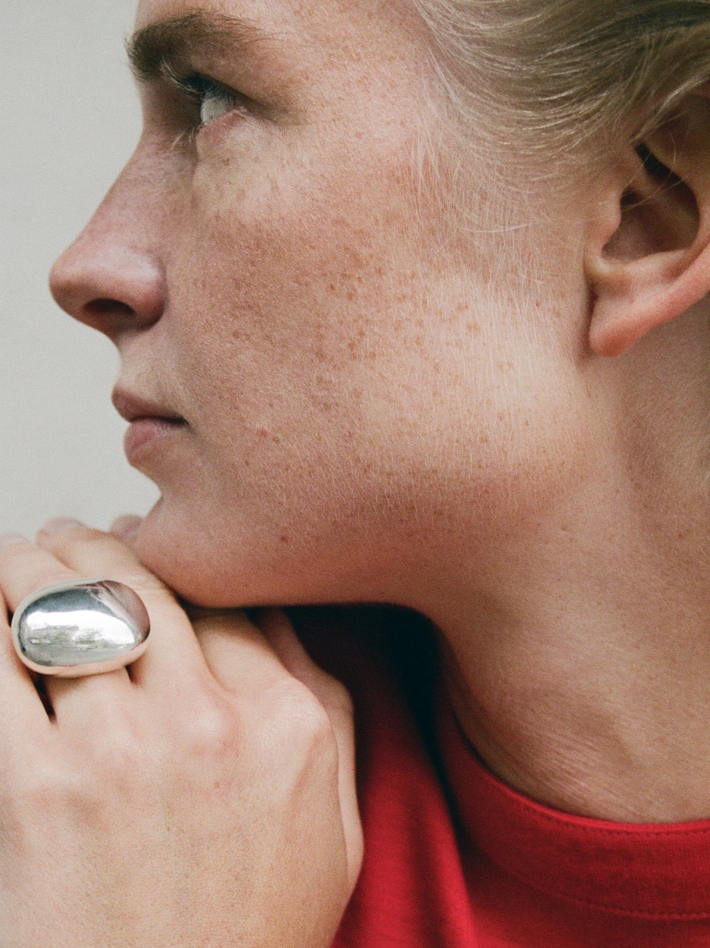 #color_sterling-silver